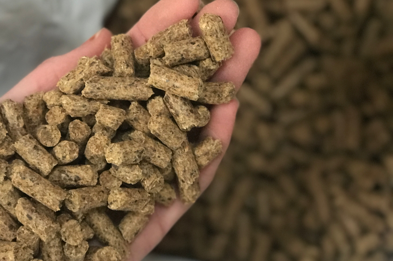 Nutritionally Improved Straw